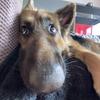 Profile Picture of iris (@irissilverx) on Tiktok