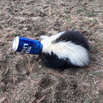 Profile Picture of Marc J Misuraca (@misuraca_j) on Twitter