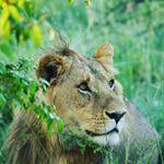 Profile Picture of Grant Kaufman (@grant.c.kaufman) on Instagram