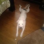 Profile Picture of Darryl Hood (@darryl.hood.7524) on Instagram