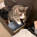 Ben Graves - Instagram Profile Picture of Ben Graves (@ben.graves) on Instagram