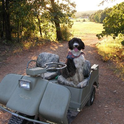 Garry Webster - Twitter Profile Picture of Garry Webster (@occhuckaranch) on Twitter