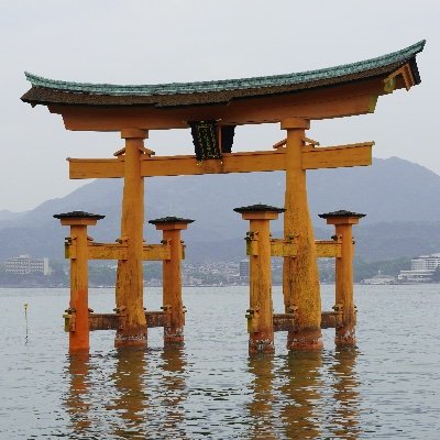 Profile Picture of Steve Murata (@SteveMurata1) on Twitter