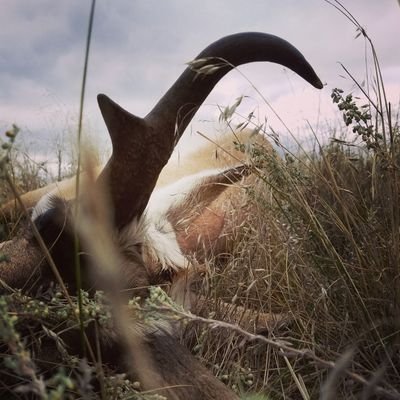 Profile Picture of Jason Wilkerson (@jwilkstn) on Twitter