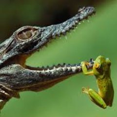 Krish Sharma - Twitter Profile Picture of Krish Sharma (@krishsharma52) on Twitter