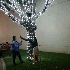 Profile Picture of Celeste Powers (@celestepowers02) on Twitter