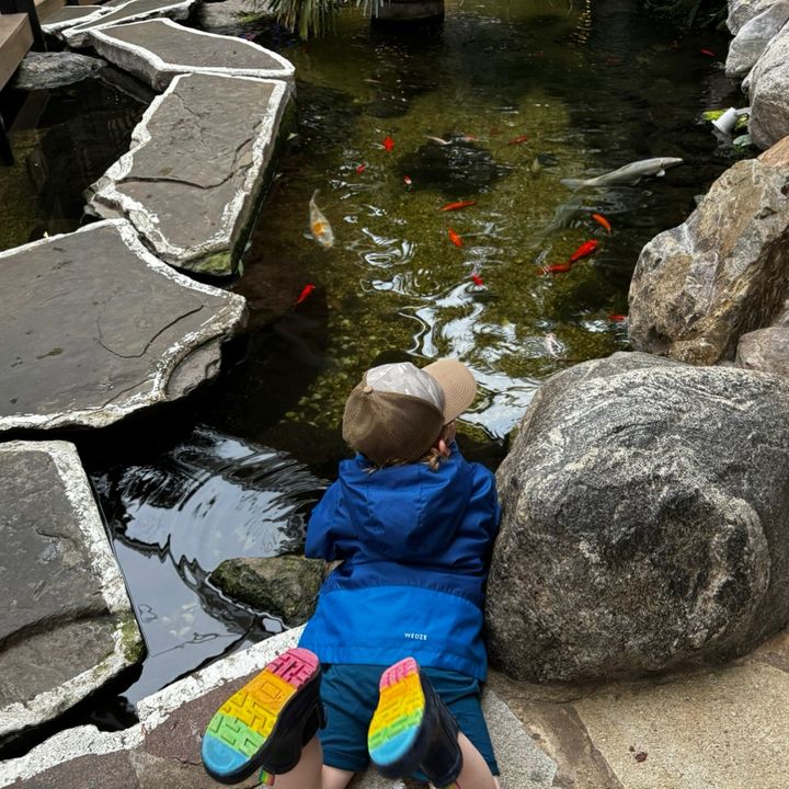 corrielavallee - Tiktok Profile Picture of corrielavallee (@corrielavallee) on Tiktok