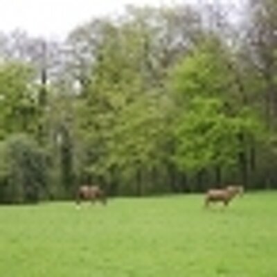 Profile Picture of Paul Jackson (@StroudSladFarm) on Twitter