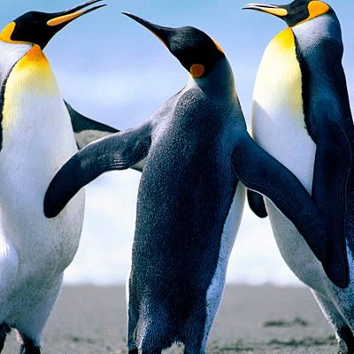 Misael De Paula Mate - Twitter Profile Picture of Misael De Paula Mate (@MisaelMate) on Twitter