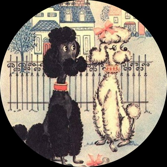 Profile Picture of Torrey Lion (@project_magnet) on Poshmark