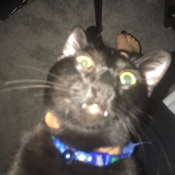 Profile Picture of Dariel Parzych (@dparzych12) on Poshmark