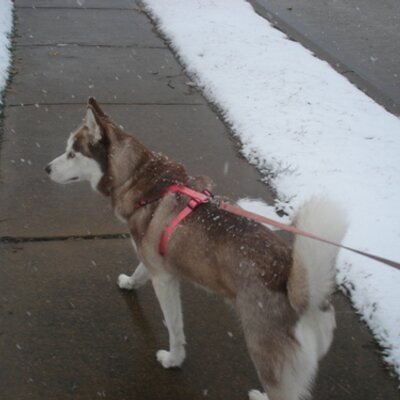 Profile Picture of Cindy Irby (@lcckn29) on Twitter