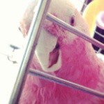 Profile Picture of lorimer (@moncursilvia) on Instagram