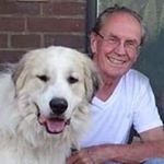 Profile Picture of Peter Krauß (@peter.krauss.b) on Instagram