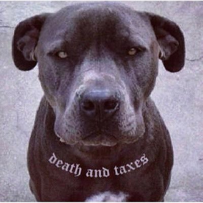 Profile Picture of Brett Conley (@BC_Ride) on Twitter