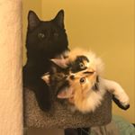 Profile Picture of Wanda Burgess (@wanda.burg4) on Instagram
