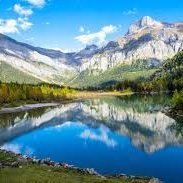 Avante Print Center - Twitter Profile Picture of Avante Print Center (@RobertLey2) on Twitter