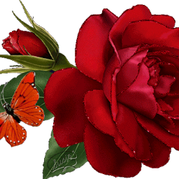 Profile Picture of Sonal Verma (@sonalverma8909) on Twitter