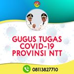 Profile Picture of Gugus Tugas Covid-19 NTT (@gugustugascovid19_provntt) on Instagram