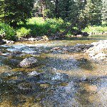 Todd Burke - Instagram Profile Picture of Todd Burke (@toddburke21) on Instagram