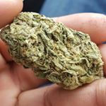 Profile Picture of Devin Glass (@devil_666_420) on Instagram