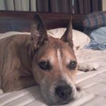 Profile Picture of Kerry George Webb (@kerrygeorge60) on Instagram