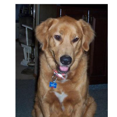 Profile Picture of WALTER McWILLIAMS (@PKLMAC) on Twitter