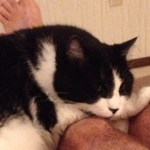 Stephanie Vandaele - Poshmark Profile Picture of Stephanie Vandaele (@meandjv) on Poshmark