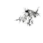 Aja - Instagram Profile Picture of Aja (@dianemerli) on Instagram