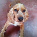 Profile Picture of Candy Robles (@candyaventuras) on Instagram