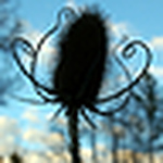 Profile Picture of Esther Buckwalter (@hadassah_hope404) on Flickr