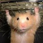 Profile Picture of jose orduno (@jose_65423) on Instagram