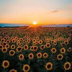 Profile Picture of Dani Meza (@Dani-Meza) on Facebook