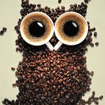 Profile Picture of Harold rivas (@haroldrivas3) on Instagram