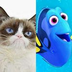 Profile Picture of Joe Sisk (@sisk43) on Instagram