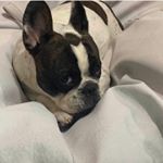 Profile Picture of Isis (@isis_sanchez_1) on Instagram