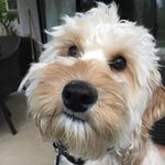 Profile Picture of Joel Northrup (@firearms_academy_of_redding) on Instagram