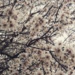 Profile Picture of Maria Buffa (@maria.buffa.7) on Instagram