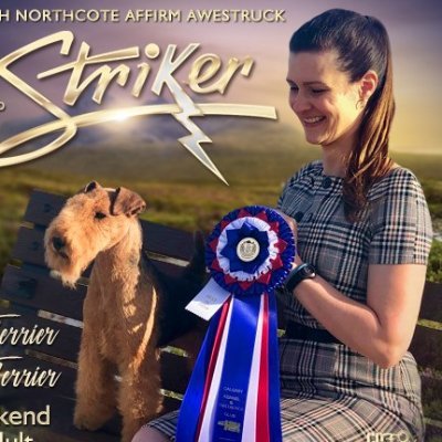 Profile Picture of Crystal Davies (@crystalannedav1) on Twitter