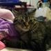 Profile Picture of Shelley Schroeder (@shelley.schroeder.524) on Facebook