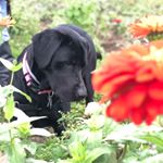 Profile Picture of Andrea Bugden (@andreabugden) on Instagram