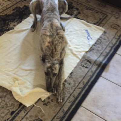 Profile Picture of Patrick Slade (@PatrickSlade11) on Twitter