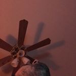 Profile Picture of Martin Shepard (@gregsnapchat) on Instagram