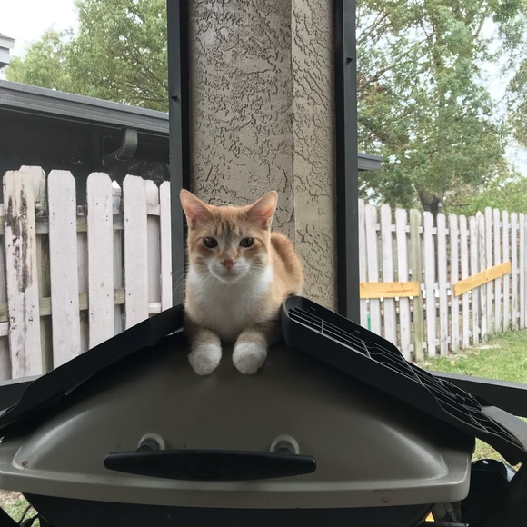 Profile Picture of Chris Kinney (@crkinney) on Poshmark