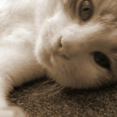 Profile Picture of Janet Garidan-Prieto (@jgaridanprieto) on Twitter