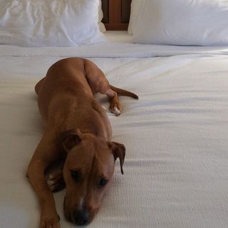 Profile Picture of Jonathan Andre (@jonathan.andre.758) on Facebook