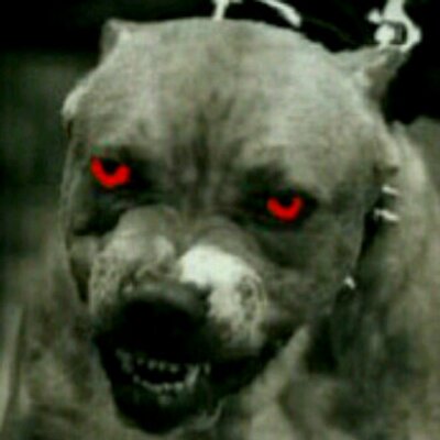 Profile Picture of Jacques Hughes (@Jacumz) on Twitter