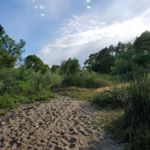 Profile Picture of brandt (@brandtfinnian) on Instagram