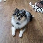 Profile Picture of Jo Ann Larson Mabey (@mabeyjoann) on Instagram