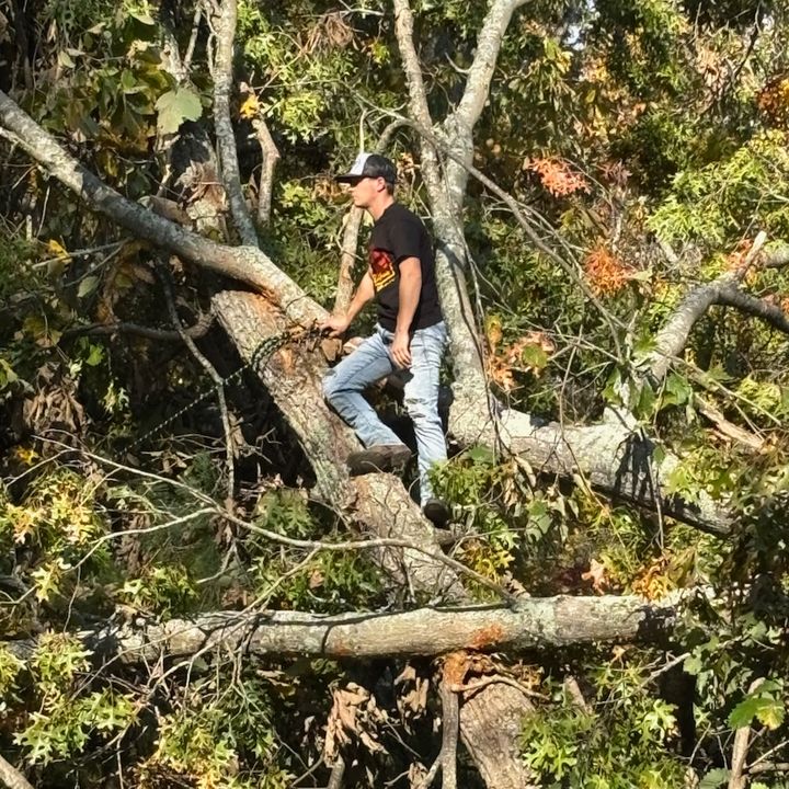 Profile Picture of   lmao... God I love her (@davidbrittain0) on Tiktok